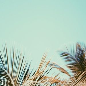 Meet your Posher, Anahi